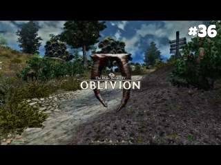 the elder scrolls iv oblivion gbrs edition - bandit lure 36