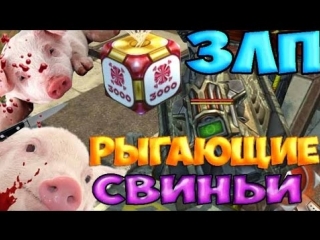 zlp from pepper 49 | tanks online | burping pigs