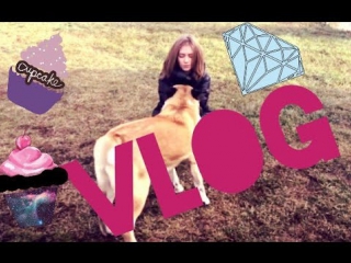 vlog: i'm afraid of dogs / save the cake / what does timati do?