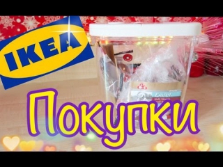 ikea haul | purchases from ikea and the pet store