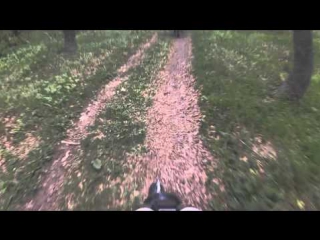 motorcycle rides on alfa jaguar (jaguar) 110cc. forest release (5)