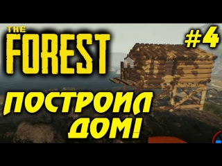 the forest - built a house 4